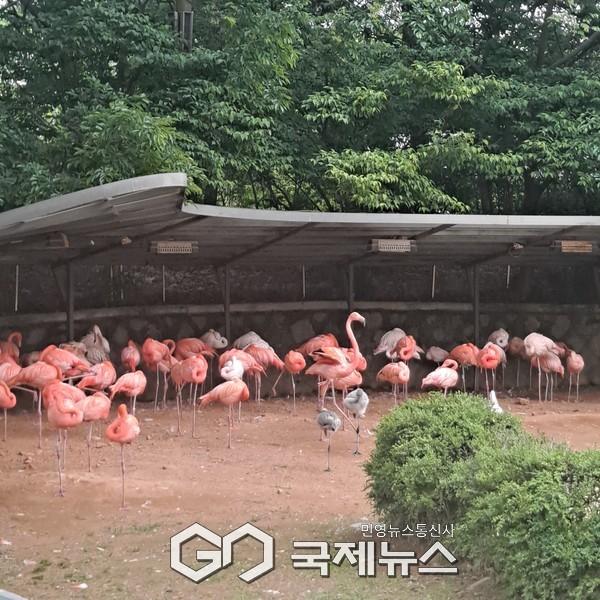 사진/국제뉴스 이재호 기자