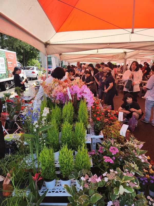 장마로 비 소식이 예보됐으나 다행히 비가 내리지 않아 행사는 큰 차질 없이 진행됐다. 이번 바자회에는 기수별 동문 모임과 총동문회 산하 단체들이 직접 마련한 의류, 액세서리, 먹거리, 화분, 음식 등 다양한 물품이 판매돼 풍성함을 더했다.[사진=제주여자중·고등학교총동문회]