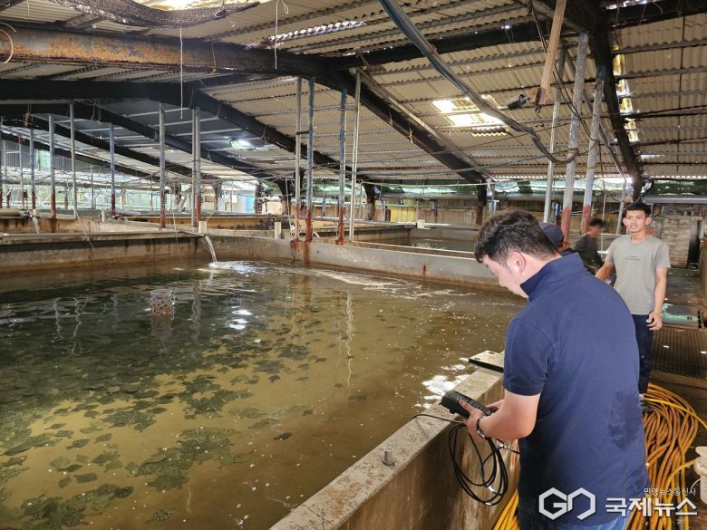 (제공=경북도) 고수온 수산피해 최소화 위한 현장방문