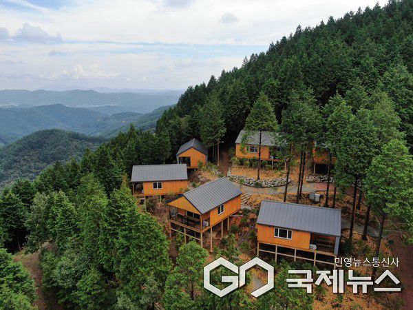 옥종 편백자연휴양림 사진/하동군