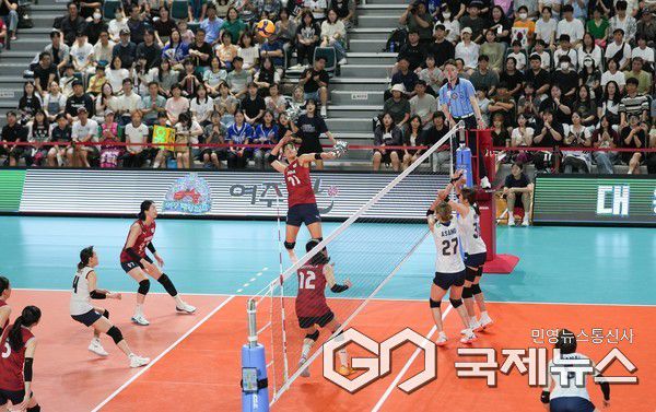 사진/대한배구협회