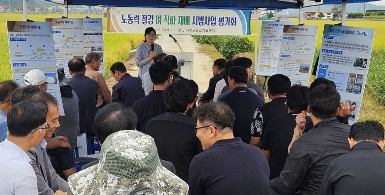 서천군농업기술센터 주관 벼 직파재배 평가회 현장 (서천군)