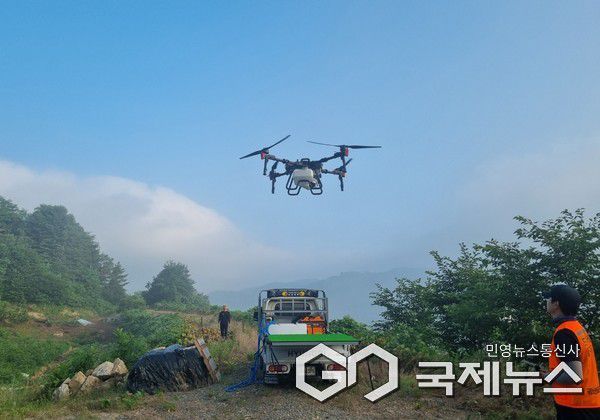 밤나무 드론 방제 현장 사진/하동군