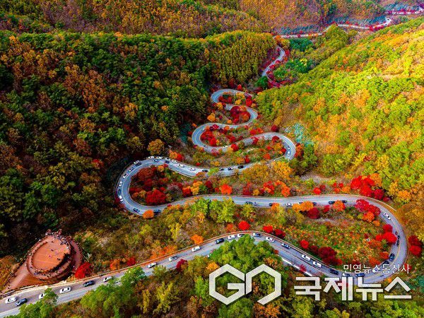 단양 보발재 붉게 물든 형형색색 단풍 절정 모습(사진=단양군)