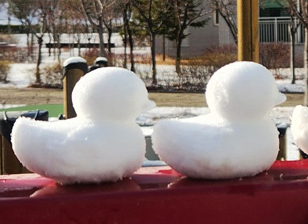 오리 눈스케치, 추위 (국제뉴스DB)