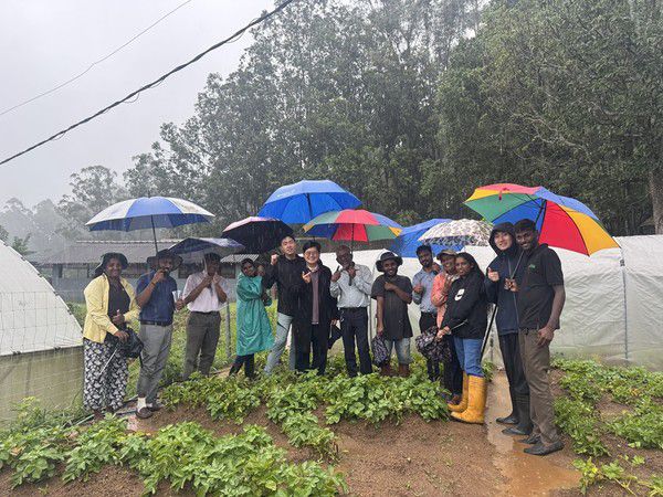 [스리랑카 ISTI Bindunuwewa 농업연수원 K-감자시험 포장 (사진: 강원대학교 임영석감자연구소)]