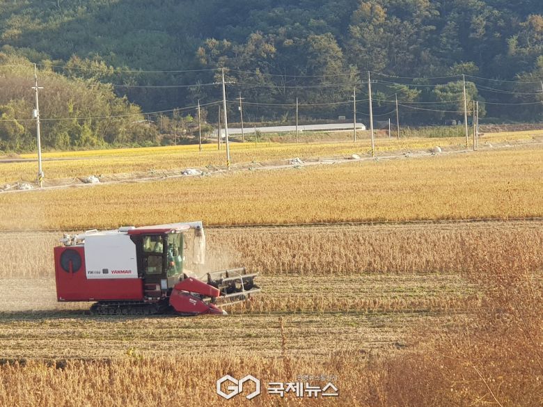 (제공=경북도) 콩수확