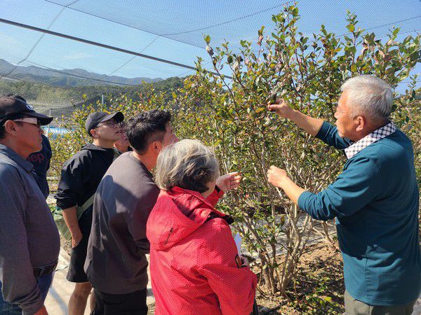 교육생들이 이론과 실습을 연계한 교육을 받고 있다. (사진=강화군 제공)