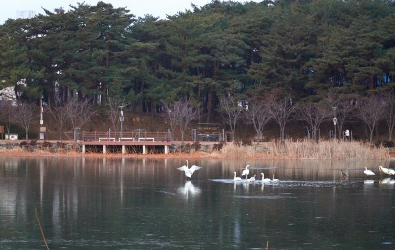(사진제공=-울진군)