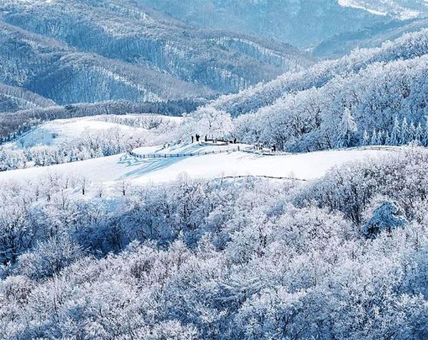 추위, 눈스케치, 상고대, 겨울날씨 (사진출처=한국관광공사)