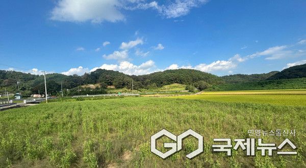 전략작물(율무) 사진/진주시