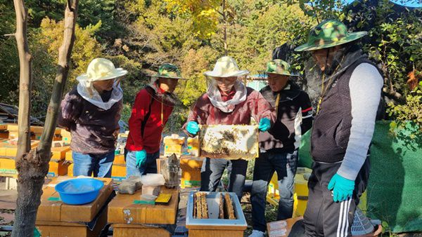 (사진촬영=국제뉴스 정천권기자) 교육생들과 함께 벌의 상태를 검사하고 있다.