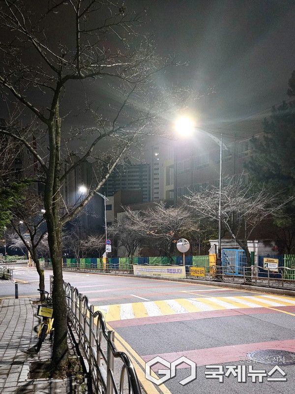 수지구 신리초교 일원 조도 개선(사진=용인시)