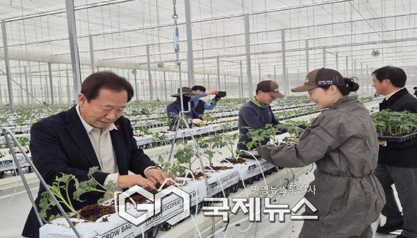 봉화군, 임대형 스마트팜단지 본격적인 영농 돌입(봉화군 제공)