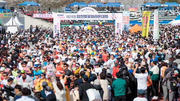 합천 벚꽃마라톤대회 자료사진