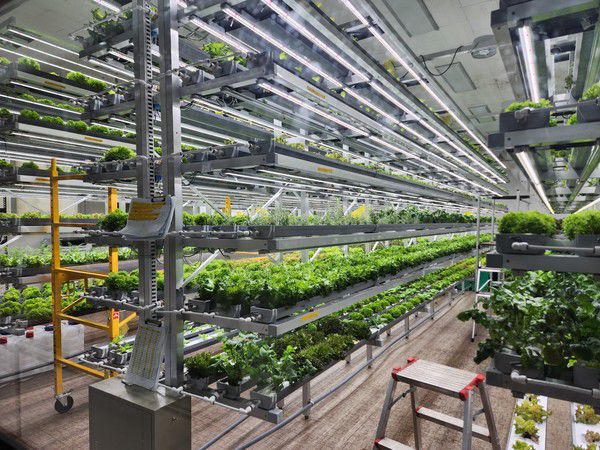 친환경 농업기반 조성 (사진= 계양구 제공)