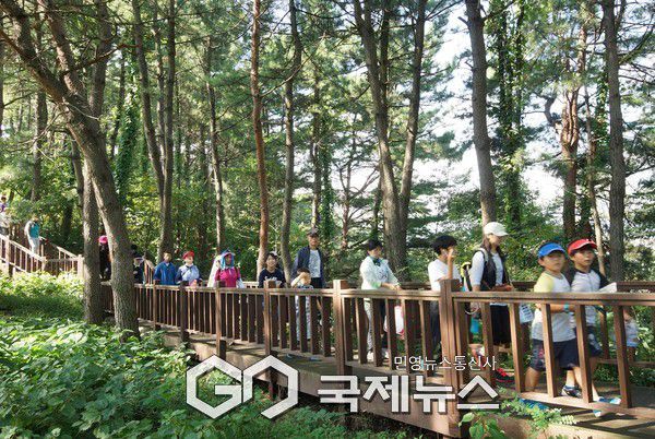 ▲삼척시 ‘오랍드리산소길’걷기대회 당시 사진=삼척시