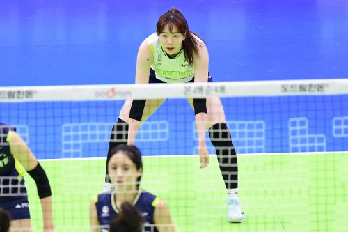 고유민. 제공 | 한국배구연맹