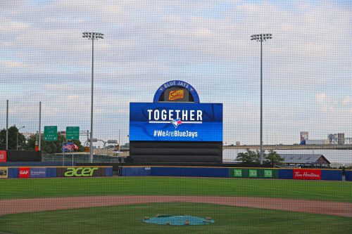 샬렌 필드. 출처 | 토론토 SNS