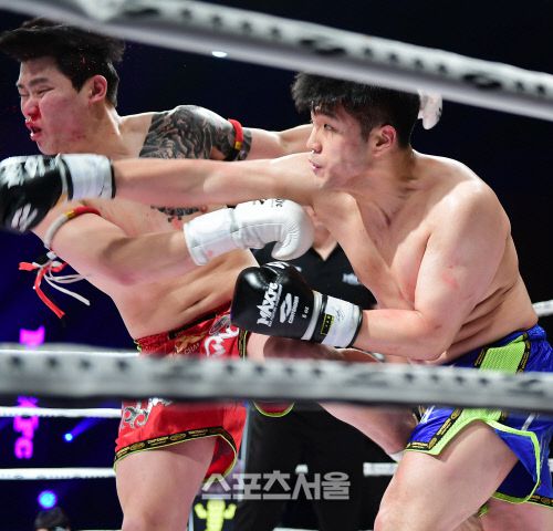정성직이 지난해 열린 MAX FC에서  강력한 오른손 스트레이트로 장태원을 다운시키며 경기를 끝내고 있다. 이주상기자 rainbow@sportsseoul.com