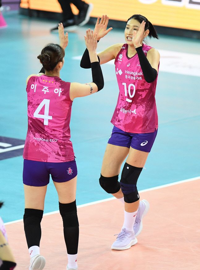 제공 | 한국배구연맹