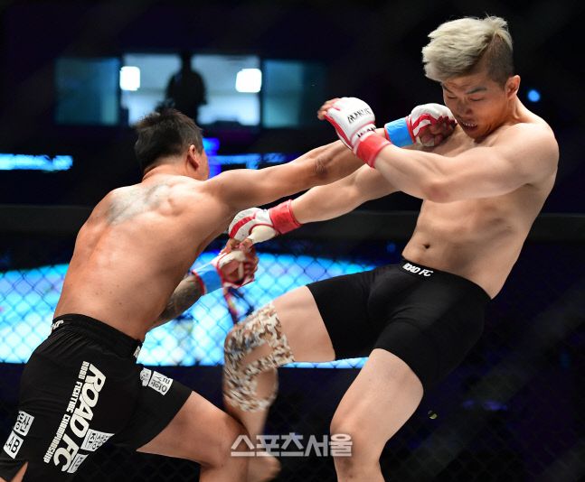 2019년 열린 로드FC 대회에서 김태인과 임동환(오른쪽)이 경기를 벌이고 있다. 이주상기자 rainbow@sportsseoul.com