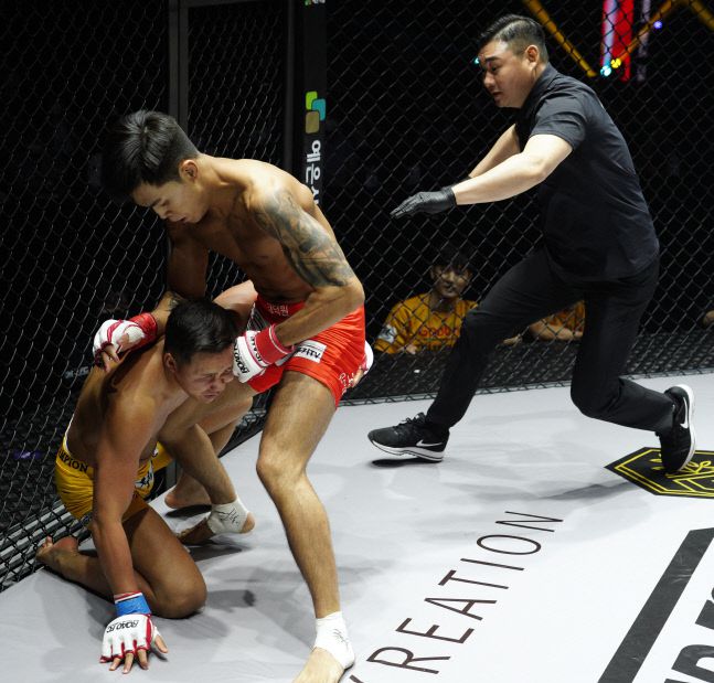 박시원이 박승모의 얼굴에 펀치를 성공시키며 다운시키자 주심이 경기를 중지하고 있다. 사진 | 로드FC