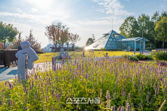 허브천문공원의 온실과 허브꽃의 풍경 사진 | 서울관광재단