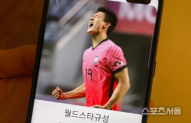 조규성 어머니 휴대폰에 저장된 이름.도하 | 정다워기자