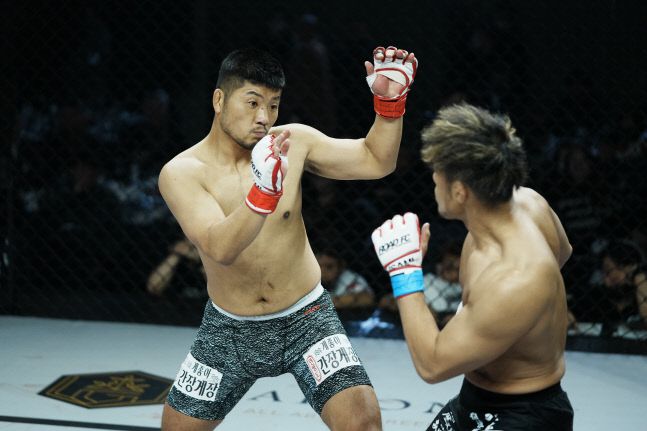 ‘악동‘ 권아솔(왼쪽)이 18일 서울 서대문구 홍은동 스위스 그랜드 호텔에서 열린 ’굽네 로드FC 062‘ -73㎏ 계약체중 매치에서 나카무라 코지와 대결을 펼치고 있다. 사진 | 로드FC