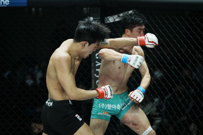 박시원(왼쪽)과 여제우가 18일 서울 서대문구 홍은동 스위스 그랜드 호텔에서 열린 ‘굽네 로드FC 062’ 라이트급 타이틀 방어전에서 치열한 대결을 펼치고 있다. 제공 | 로드FC
