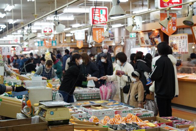 핫쇼쿠 센터. 사진 | 조세현