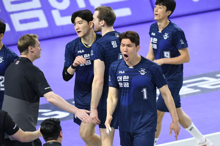 제공 | 한국배구연맹