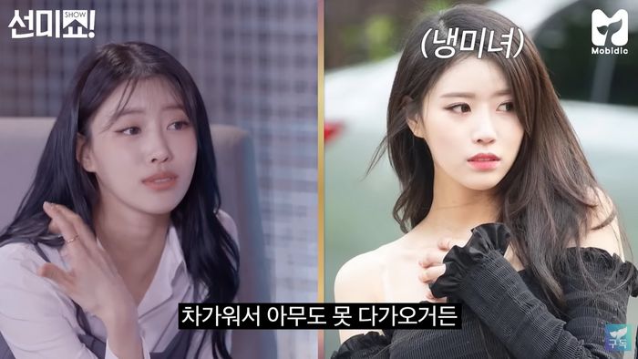 출처 | 유튜브 ‘모비딕’