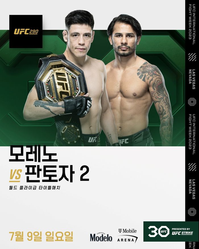 브랜든 모레노 vs 알렉산드르 판토자. 사진 | UFC