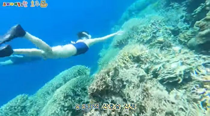 출처| BH 엔터테인먼트 공식 유튜브