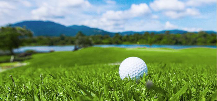 더 시에나CC 페어웨이 위에 볼이 놓여져 있다. 사진 | 더 시에나 그룹