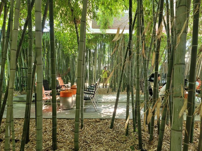 대전 소재동 관사촌 풍경.     사진 | 지엔씨21