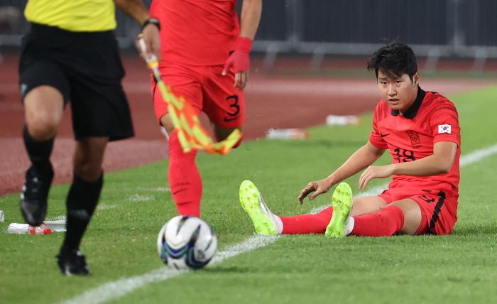 진화 | 연합뉴스