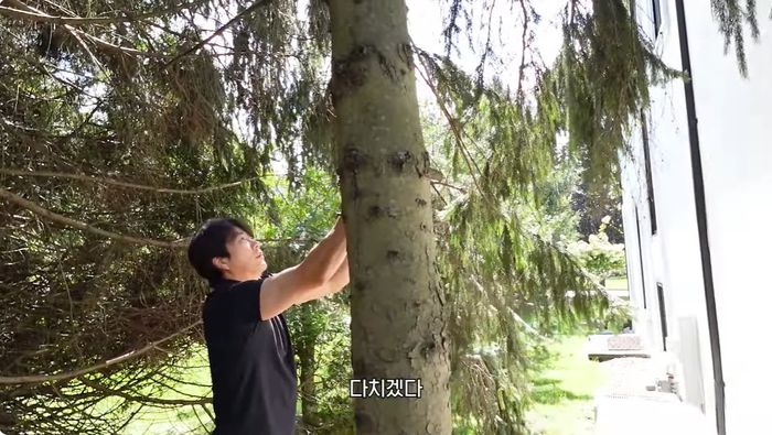 출처 | 유튜브 ‘Mrs.뉴저지 손태영’