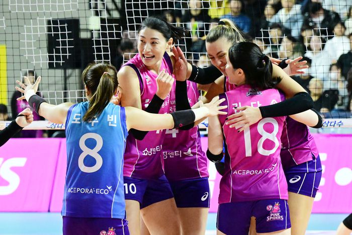 제공 | 한국배구연맹