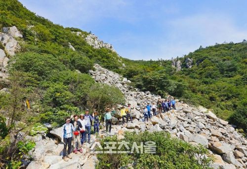 전남도 추천 달마고도  둘레길
