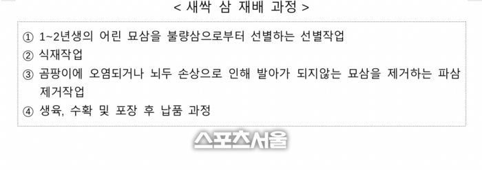 새싹 삼 재배 과정. 자료 | 중기부 제공