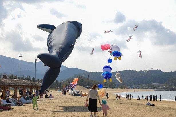 스카이갤러리.  사진|전북도청