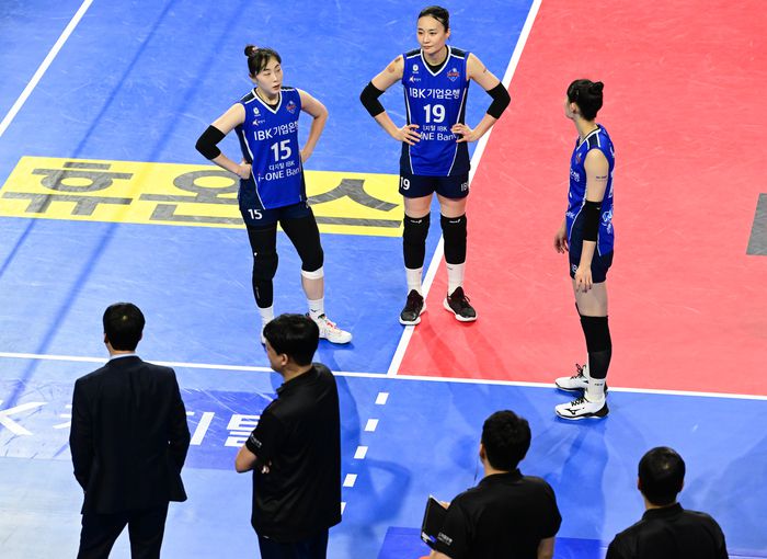 제공 | 한국배구연맹