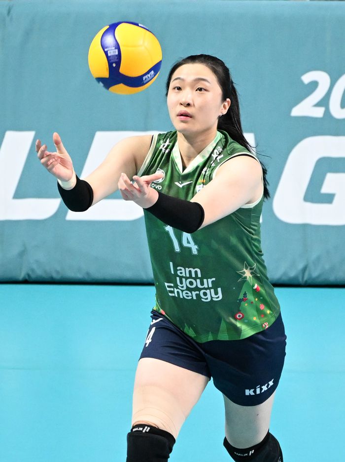 제공 | 한국배구연맹