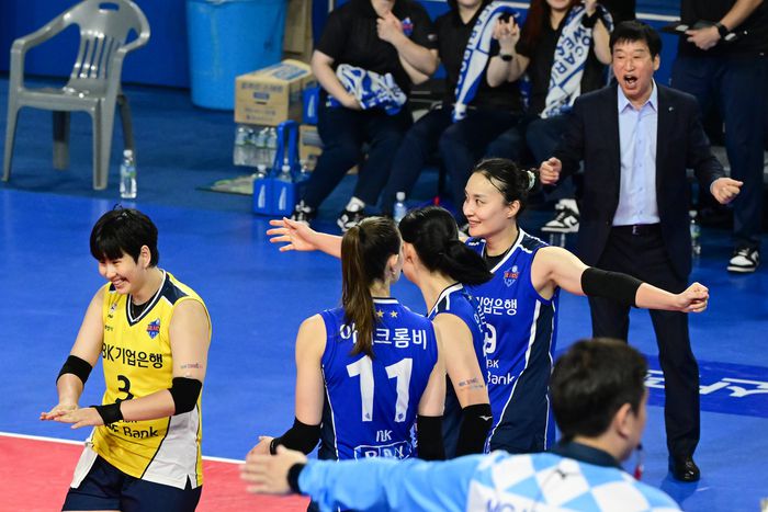 제공 | 한국배구연맹