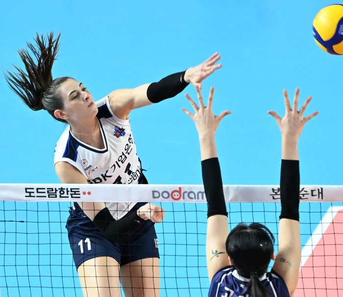 제공 | 한국배구연맹