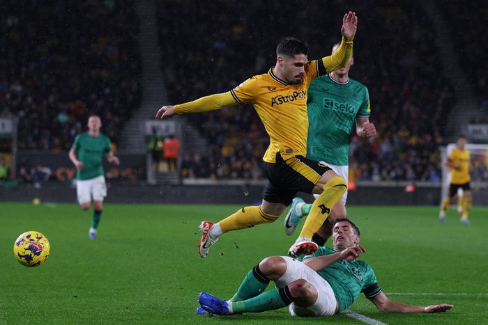 울버햄턴 | AFP연합뉴스