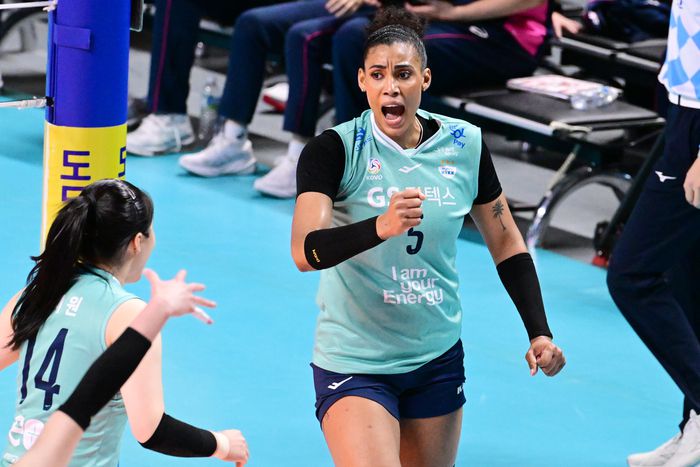 제공 | 한국배구연맹